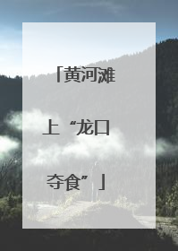 黄河滩上“龙口夺食”