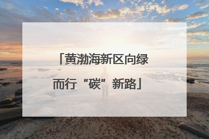 黄渤海新区向绿而行“碳”新路