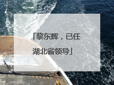 黎东辉，已任湖北省领导