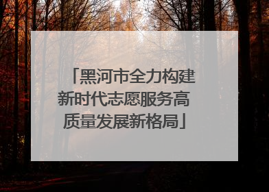 黑河市全力构建新时代志愿服务高质量发展新格局