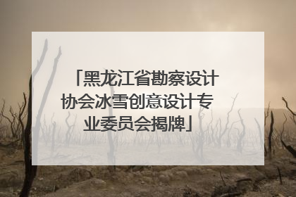黑龙江省勘察设计协会冰雪创意设计专业委员会揭牌