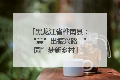 黑龙江省桦南县：“蒜”出振兴路 “园”梦新乡村