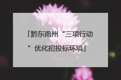 黔东南州“三项行动”优化招投标环境