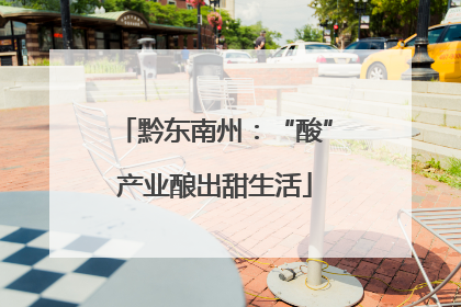 黔东南州：“酸”产业酿出甜生活