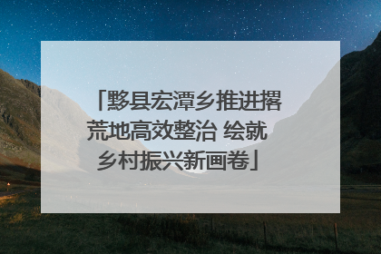黟县宏潭乡推进撂荒地高效整治 绘就乡村振兴新画卷