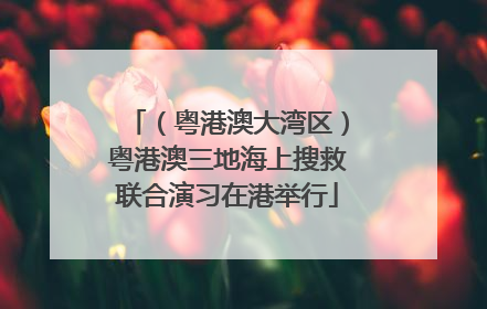 （粤港澳大湾区）粤港澳三地海上搜救联合演习在港举行