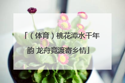 （体育）桃花潭水千年韵 龙舟竞渡寄乡情