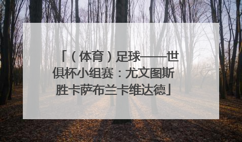 （体育）足球——世俱杯小组赛：尤文图斯胜卡萨布兰卡维达德
