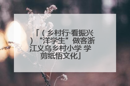 （乡村行·看振兴）“洋学生”做客浙江义乌乡村小学 学剪纸悟文化