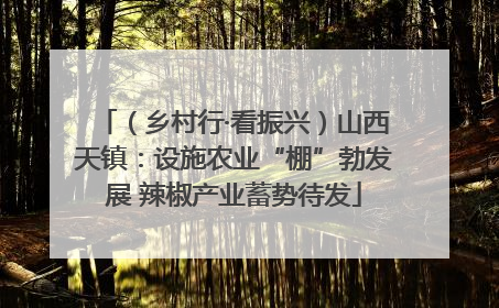 （乡村行·看振兴）山西天镇：设施农业“棚”勃发展 辣椒产业蓄势待发