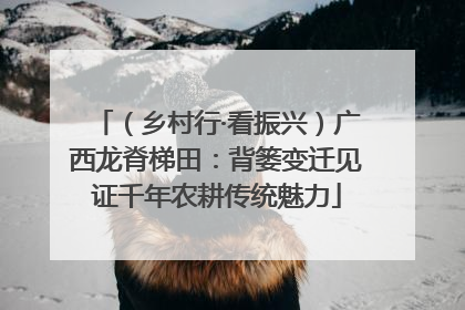 （乡村行·看振兴）广西龙脊梯田：背篓变迁见证千年农耕传统魅力