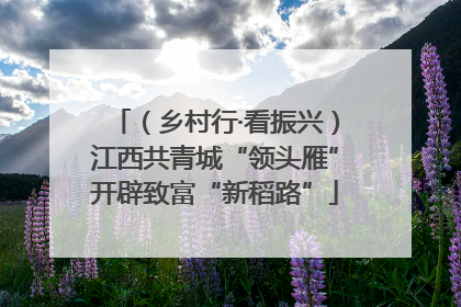 （乡村行·看振兴）江西共青城“领头雁”开辟致富“新稻路”