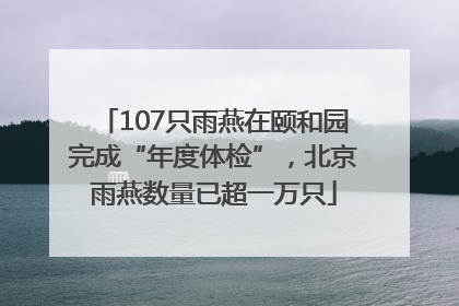 107只雨燕在颐和园完成“年度体检”，北京雨燕数量已超一万只