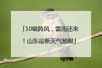 10级阵风，雷雨还来！山东最新天气预报