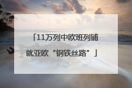 11万列中欧班列铺就亚欧“钢铁丝路”