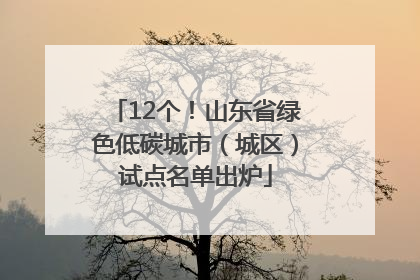 12个！山东省绿色低碳城市（城区）试点名单出炉