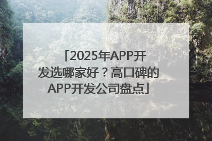 2025年APP开发选哪家好？高口碑的APP开发公司盘点