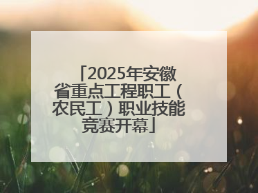 2025年安徽省重点工程职工（农民工）职业技能竞赛开幕