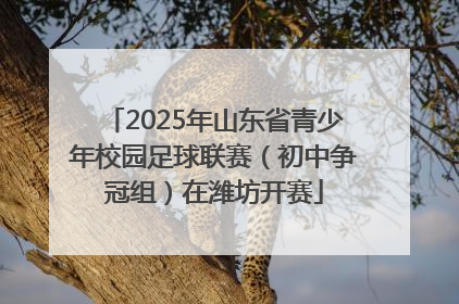 2025年山东省青少年校园足球联赛（初中争冠组）在潍坊开赛