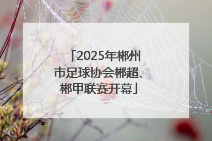 2025年郴州市足球协会郴超、郴甲联赛开幕