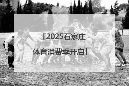 2025石家庄体育消费季开启