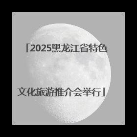 2025黑龙江省特色文化旅游推介会举行