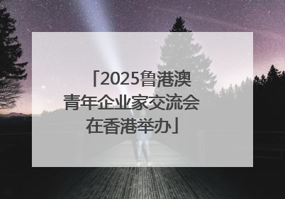2025鲁港澳青年企业家交流会在香港举办