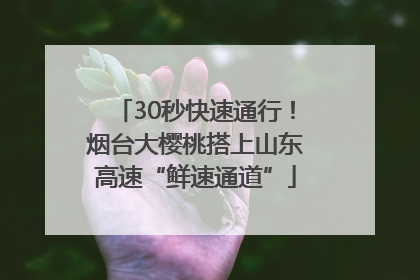 30秒快速通行！烟台大樱桃搭上山东高速“鲜速通道”