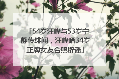 54岁汪峰与53岁宁静传绯闻，汪峰晒34岁正牌女友合照辟谣