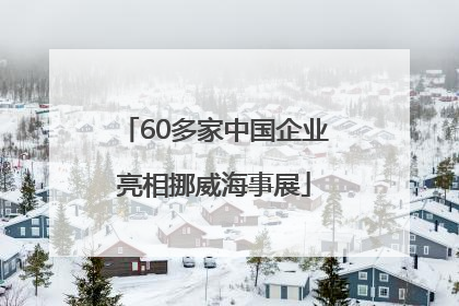 60多家中国企业亮相挪威海事展