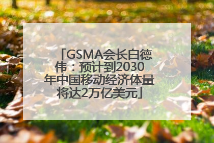 GSMA会长白德伟：预计到2030年中国移动经济体量将达2万亿美元