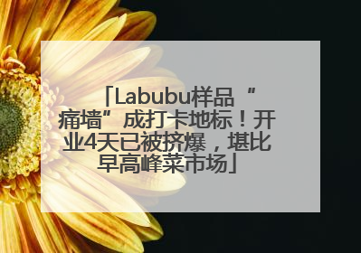 Labubu样品“痛墙”成打卡地标！开业4天已被挤爆，堪比早高峰菜市场