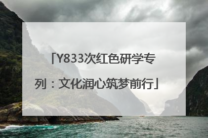 Y833次红色研学专列：文化润心筑梦前行